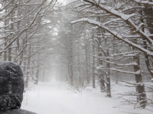 cold