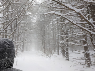 cold